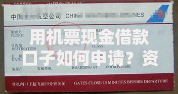 用机票现金借款口子如何申请？资质要求与风险解析