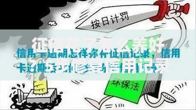 征信花了怎么养好？5步修复信用记录攻略