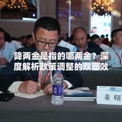 降两金是指的哪两金？深度解析政策调整的双面效应