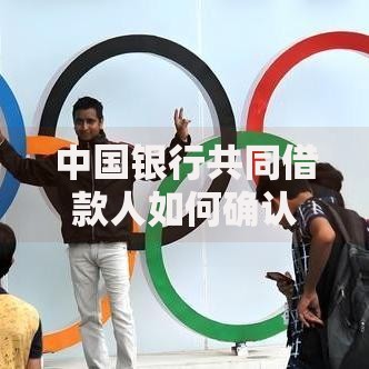 中国银行共同借款人如何确认 流程解析与注意事项