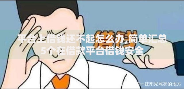 平台上借钱还不起怎么办,简单汇总5个在借款平台借钱安全
