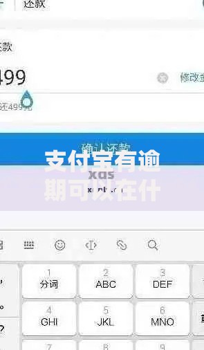 支付宝有逾期可以在什么平台借钱？5类正规渠道解析