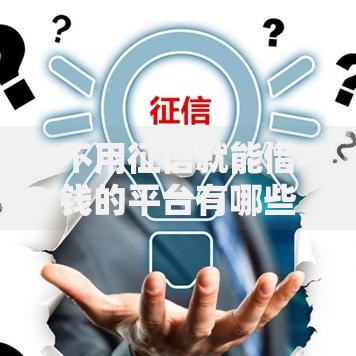 不用征信就能借钱的平台有哪些?正规渠道解析与申请指南 不用征信就能借钱的平台有哪些?正规渠道解析与申请指南