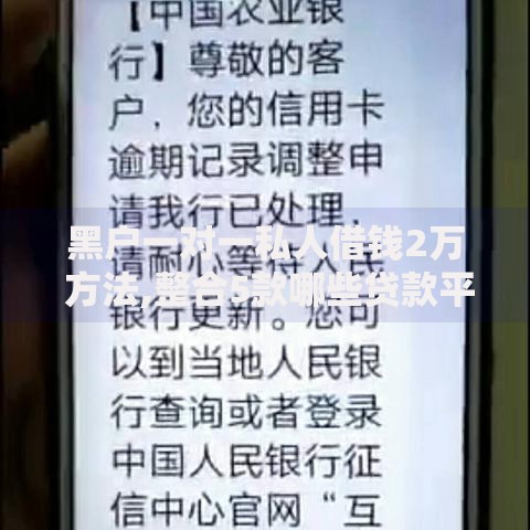 黑户一对一私人借钱2万 方法,整合5款哪些贷款平台不看征信