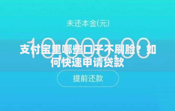 支付宝里哪些口子不刷脸？如何快速申请贷款