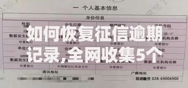 如何恢复征信逾期记录,全网收集5个征信花了可以贷款的平台