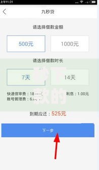 秒下款的口子有哪些？正规渠道深度解析