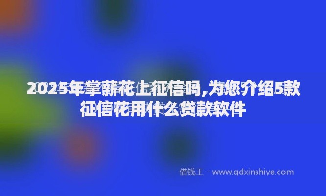 2025年掌薪花上征信吗,为您介绍5款征信花用什么贷款软件