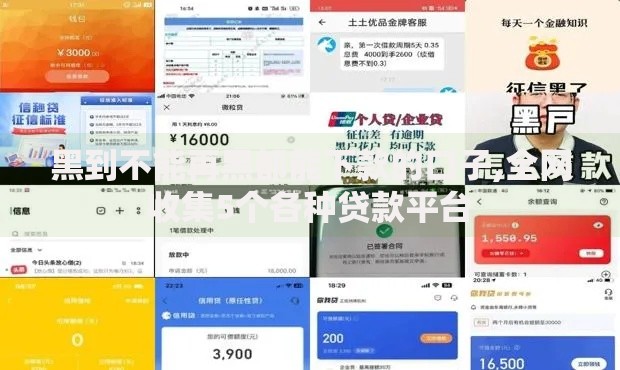 黑到不能再黑都能下款的口子,全网收集5个各种贷款平台