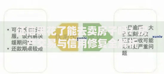 征信黑花了能去卖房子吗？房产交易与信用修复全解析