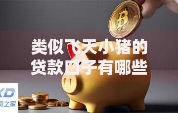 类似飞天小猪的贷款口子有哪些正规低息平台可选