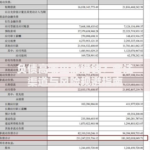 负债高哪里能借钱？合法渠道与风险规避指南