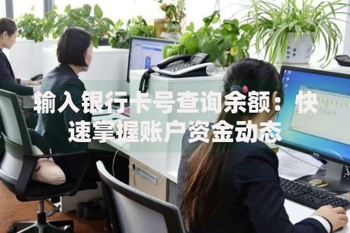 输入银行卡号查询余额：快速掌握账户资金动态
