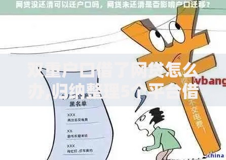 双重户口借了网贷怎么办,归纳整理5个平台借钱利息低