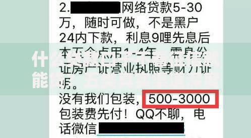 什么贷款口子不看征信就能贷？五类真实渠道深度解析