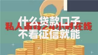 什么贷款口子不看征信就能贷？五类真实渠道深度解析