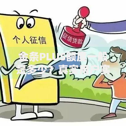 金条PLUS额度一般是多少？真实用户实测额度范围大揭秘