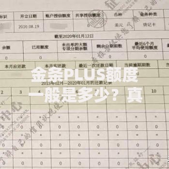 金条PLUS额度一般是多少？真实用户实测额度范围大揭秘