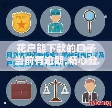 花户能下款的口子当前有逾期,精心分析5款怎么举报贷款平台