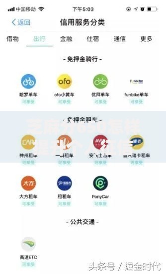芝麻分650怎样提升个人征信评分？六大策略助你快速涨分
