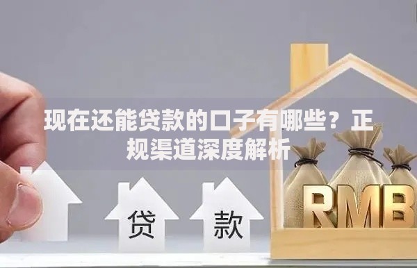 现在还能贷款的口子有哪些？正规渠道深度解析