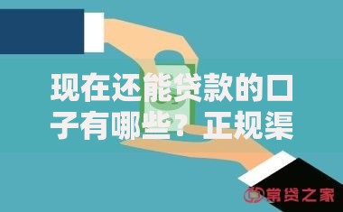 现在还能贷款的口子有哪些？正规渠道深度解析