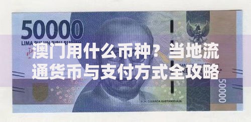 澳门用什么币种？当地流通货币与支付方式全攻略