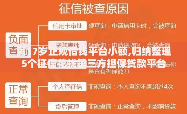 满17岁正规借钱平台小额,归纳整理5个征信花找第三方担保贷款平台