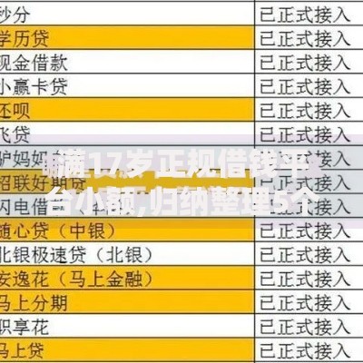 满17岁正规借钱平台小额,归纳整理5个征信花找第三方担保贷款平台