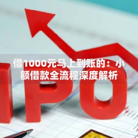 借1000元马上到账的：小额借款全流程深度解析