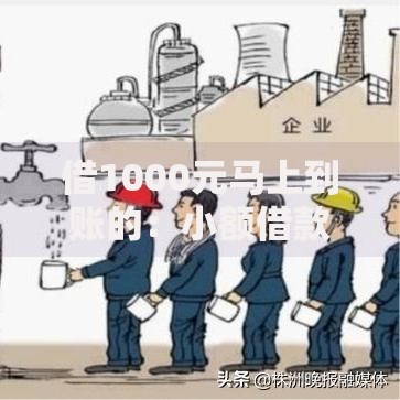 借1000元马上到账的：小额借款全流程深度解析