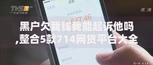 黑户欠我钱我能起诉他吗,整合5款714网贷平台大全