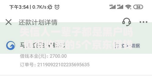 失信人一辈子都是黑户吗,值得收藏的5个京东借钱平台