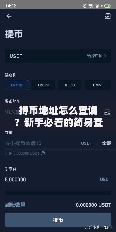 持币地址怎么查询？新手必看的简易查询指南