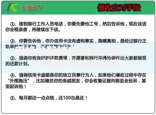手机分期被起诉怎么办？应对策略与法律指南