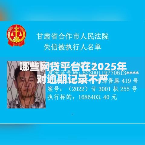哪些网贷平台在2025年对逾期记录不严