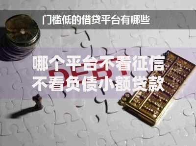 哪个平台不看征信不看负债小额贷款?低门槛渠道解析 哪个平台不看征信不看负债小额贷款?低门槛渠道解析