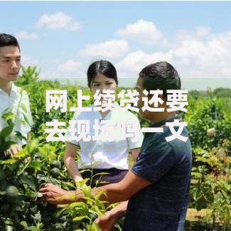 网上续贷还要去现场吗一文说清流程变化与注意事项