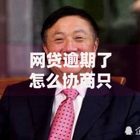 网贷逾期了怎么协商只还本金,精心分析5款网贷平台监管投诉电话