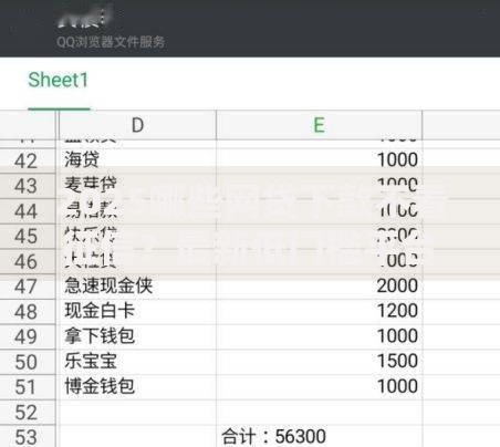 2025哪些网贷下款不看征信？最新低门槛平台解析