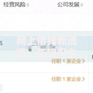 网上借钱新选择：正规平台如何快速审批低息贷款