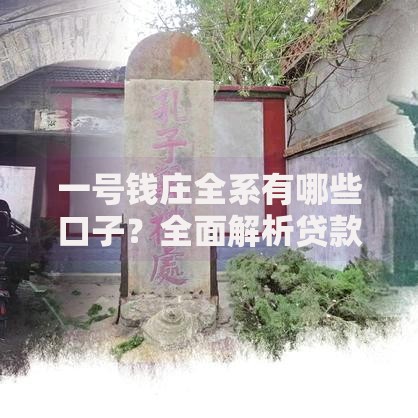 一号钱庄全系有哪些口子？全面解析贷款产品及申请条件