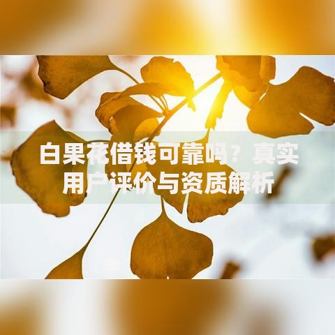 白果花借钱可靠吗?真实用户评价与资质解析 白果花借钱可靠吗?真实用户评价与资质解析