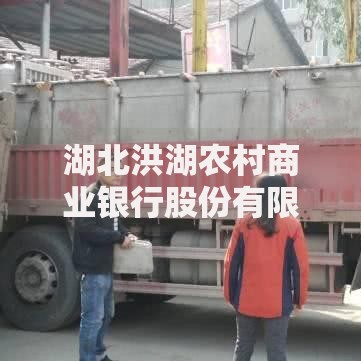 湖北洪湖农村商业银行股份有限公司贷款条件有哪些？最新政策解析