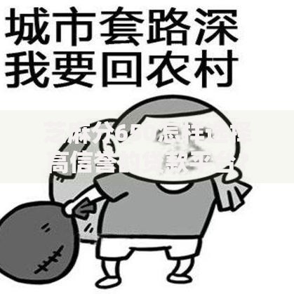 芝麻分650怎样选择高信誉的贷款平台？权威指南助你避坑