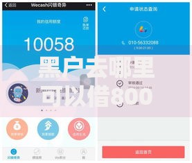 黑户去哪里可以借8000,简单汇总5个融享花一样的平台
