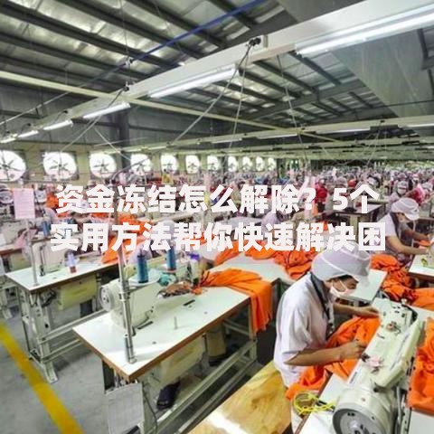 资金冻结怎么解除？5个实用方法帮你快速解决困境