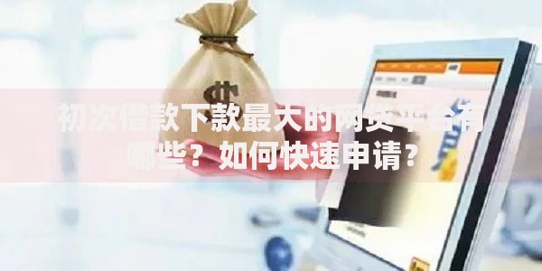 初次借款下款最大的网贷平台有哪些？如何快速申请？