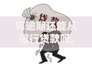 有逾期还能从银行贷款吗,归纳整理5个花户黑户秒下的口子