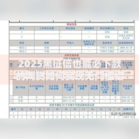 2025黑征信也能必下款的网贷如何实现无门槛借贷